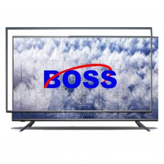 BOSS            television